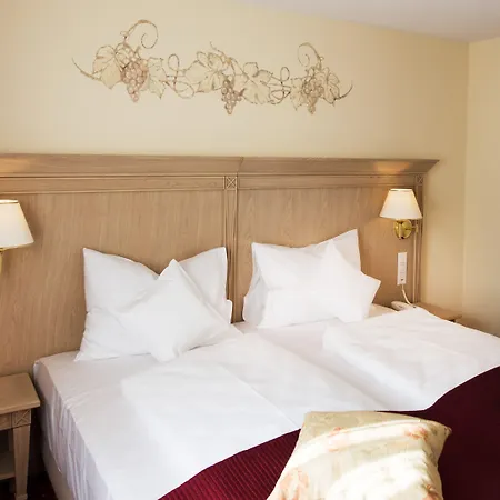 Hotel Rebstock 4*