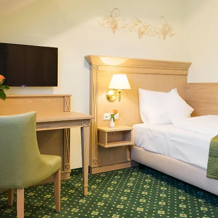 Rebstock Baden-Baden