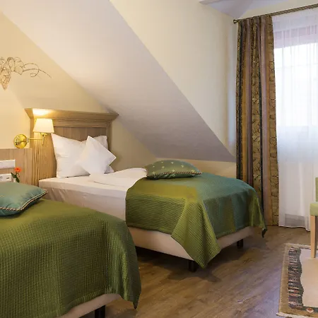 Hotel Rebstock 4*
