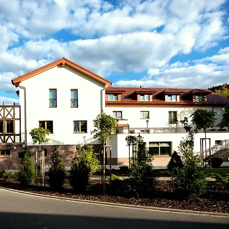 Rebstock Baden-Baden