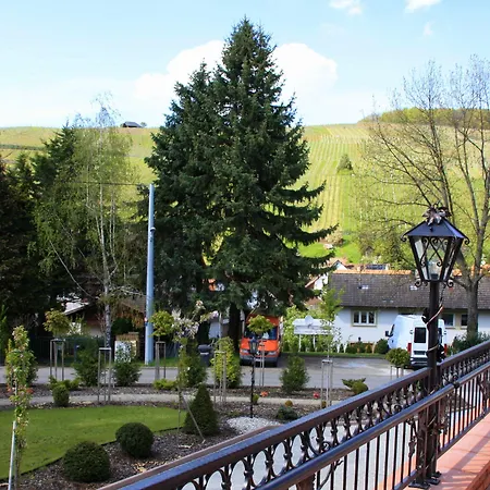 Rebstock Baden-Baden