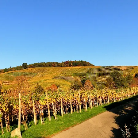 Hotel&restaurant Rebstock Baden-Baden