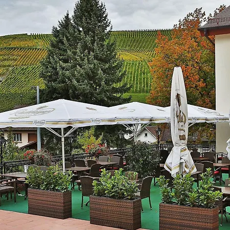 Hotel&restaurant Rebstock Hotel 4*