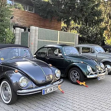 Rebstock Baden-Baden
