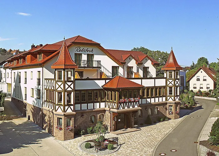 Rebstock Baden-Baden