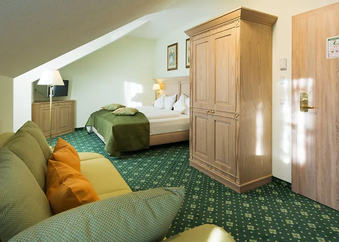 Rebstock Baden-Baden