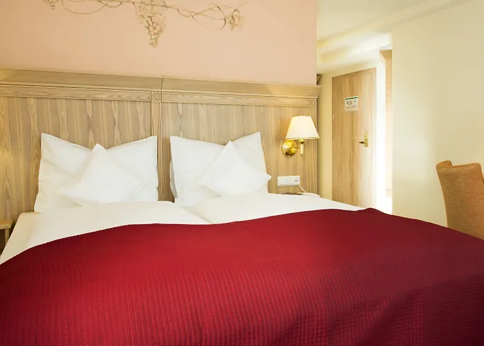 Rebstock Baden-Baden