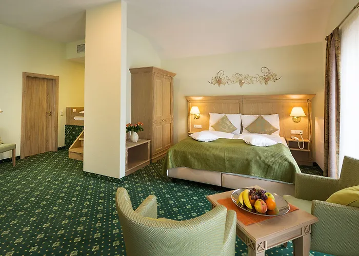 Rebstock Baden-Baden