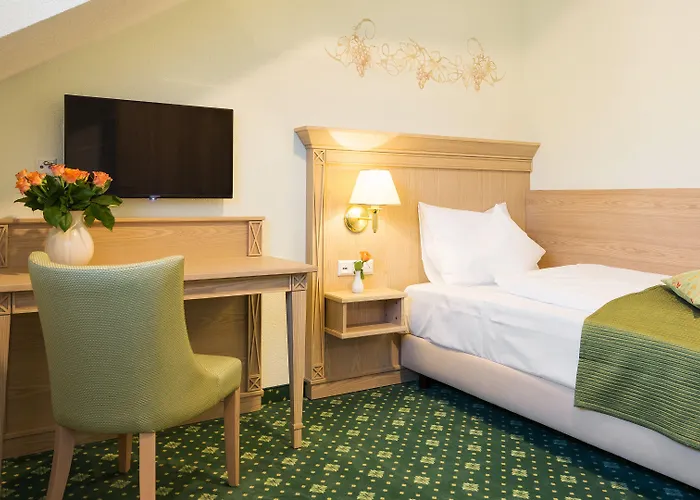 Rebstock Baden-Baden