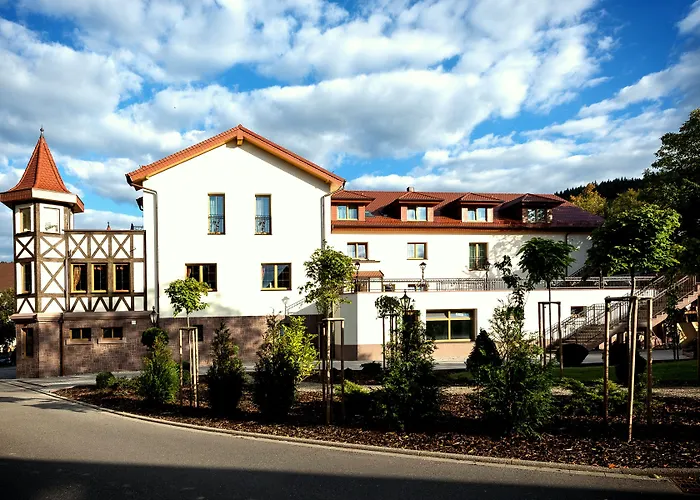 Rebstock Baden-Baden