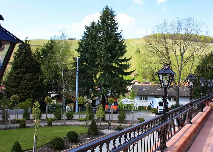 Rebstock Baden-Baden