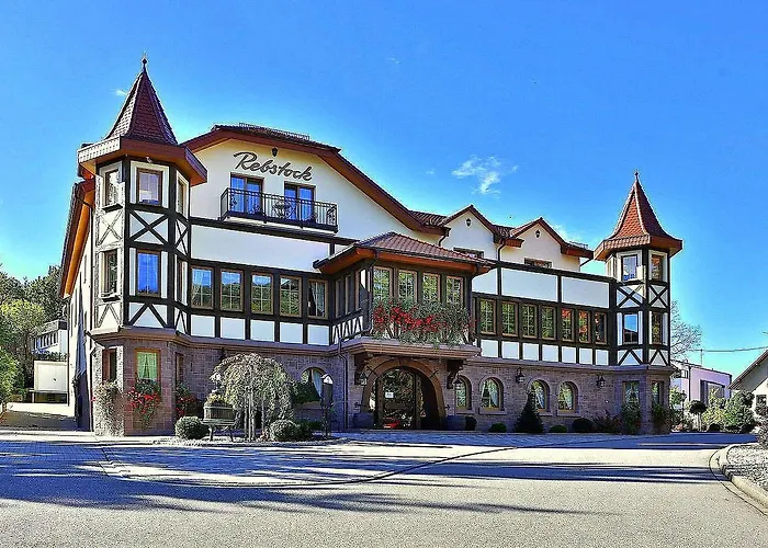 Rebstock Baden-Baden